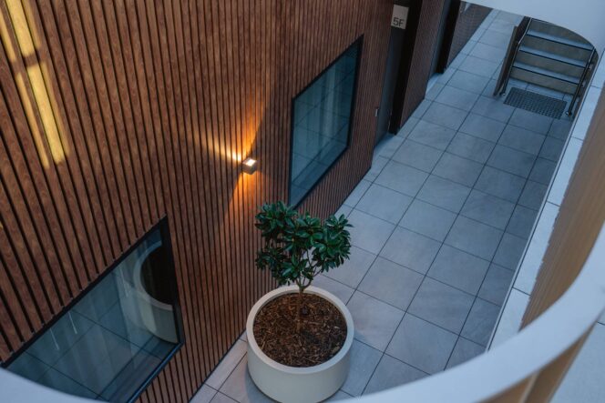 2-INSIGHTELECTRICAL-COMMOTIONMEDIA (1)